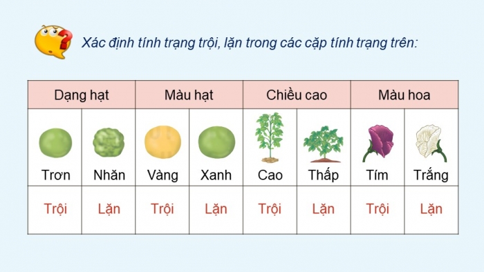 Giáo án điện tử KHTN 9 kết nối - Phân môn Sinh học Bài 37: Các quy luật di truyền của Mendel