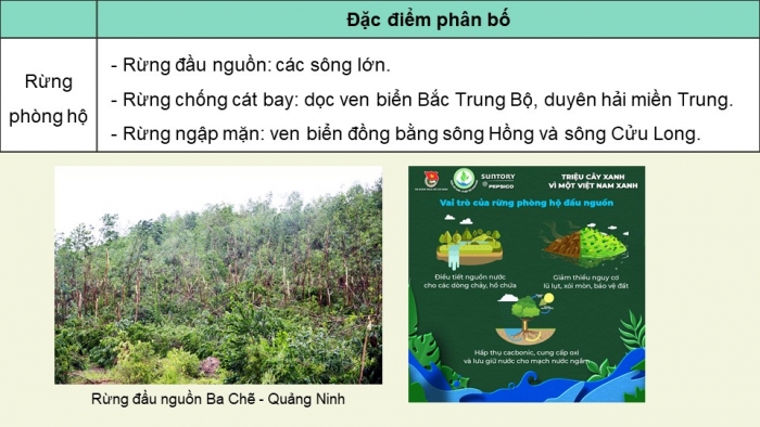 Giáo án điện tử Địa lí 9 chân trời Bài 4: Nông nghiệp, lâm nghiệp, thủy sản (bổ sung)