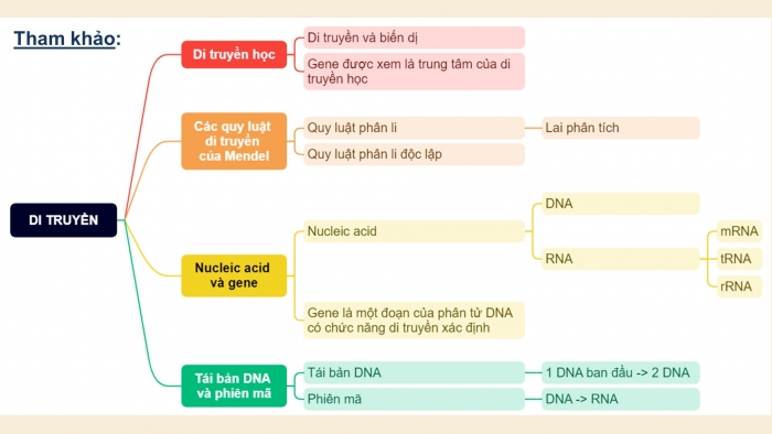 Giáo án điện tử KHTN 9 kết nối - Phân môn Sinh học Bài Ôn tập giữa học kì 1