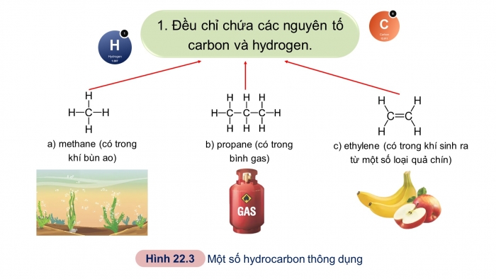 Giáo án điện tử KHTN 9 kết nối - Phân môn Hoá học Bài 23: Alkane