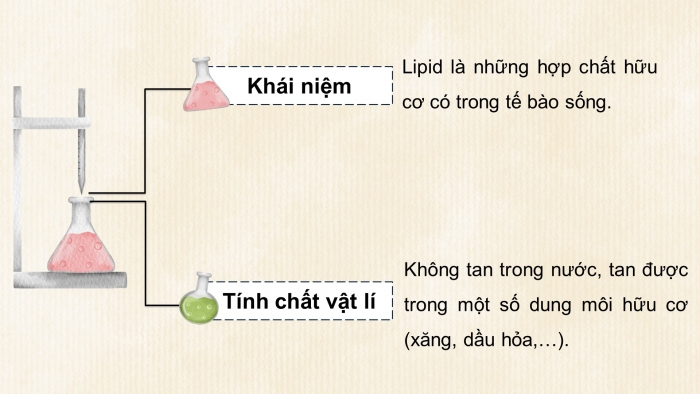 Giáo án điện tử KHTN 9 kết nối - Phân môn Hoá học Bài 28: Lipid