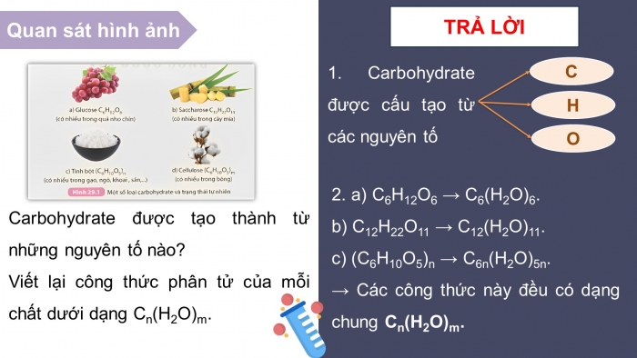 Giáo án điện tử KHTN 9 kết nối - Phân môn Hoá học Bài 29: Carbohydrate. Glucose và saccharose