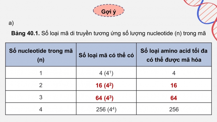 Giáo án điện tử KHTN 9 kết nối - Phân môn Sinh học Bài 40: Dịch mã và mối quan hệ từ gene đến tính trạng