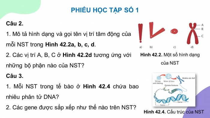 Giáo án điện tử KHTN 9 kết nối - Phân môn Sinh học Bài 42: Nhiễm sắc thể và bộ nhiễm sắc thể