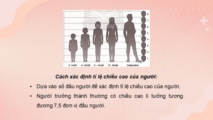 Giáo án điện tử Mĩ thuật 9 chân trời bản 1 Bài 1: Vẽ kí hoạ dáng người