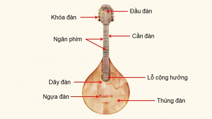 Giáo án điện tử Âm nhạc 5 chân trời Tiết 4: Thường thức âm nhạc Giới thiệu nhạc cụ nước ngoài, Nhà ga âm nhạc