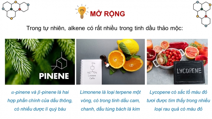 Giáo án điện tử KHTN 9 kết nối - Phân môn Hoá học Bài 24: Alkene