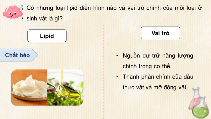 Giáo án điện tử KHTN 9 kết nối - Phân môn Hoá học Bài 28: Lipid