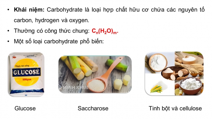 Giáo án điện tử KHTN 9 kết nối - Phân môn Hoá học Bài 29: Carbohydrate. Glucose và saccharose