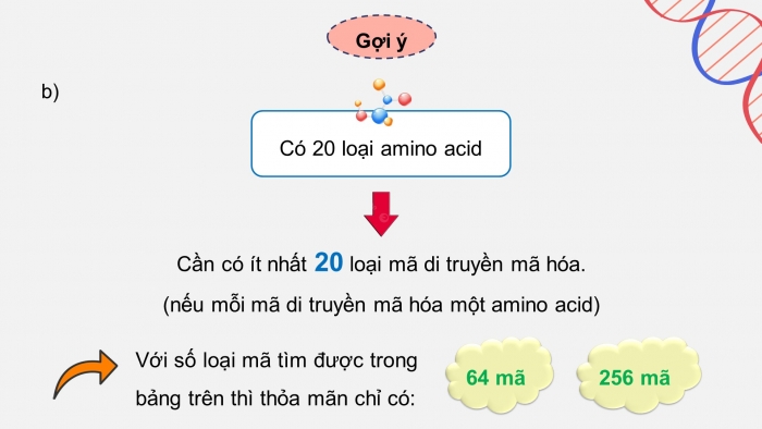 Giáo án điện tử KHTN 9 kết nối - Phân môn Sinh học Bài 40: Dịch mã và mối quan hệ từ gene đến tính trạng