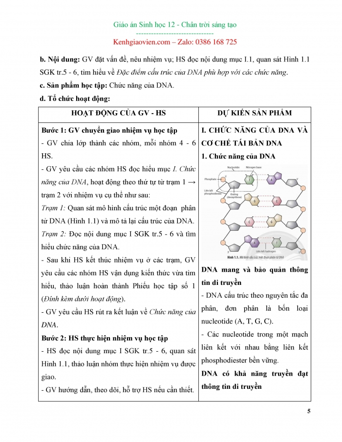 Giáo án và PPT Sinh học 12 chân trời bài 1: Gene và cơ chế truyền thông tin di truyền