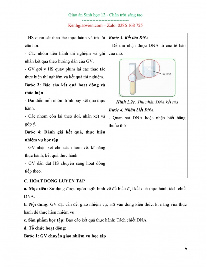 Giáo án và PPT Sinh học 12 chân trời bài 2: Thực hành Tách chiết DNA