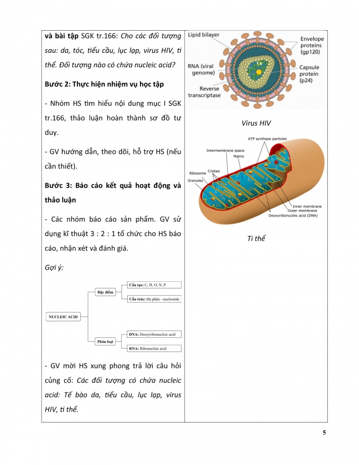 Giáo án và PPT KHTN 9 kết nối Bài 38: Nucleic acid và gene