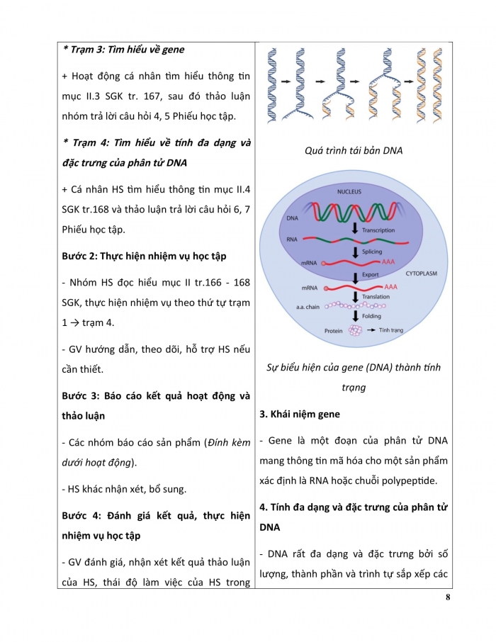 Giáo án và PPT KHTN 9 kết nối Bài 38: Nucleic acid và gene