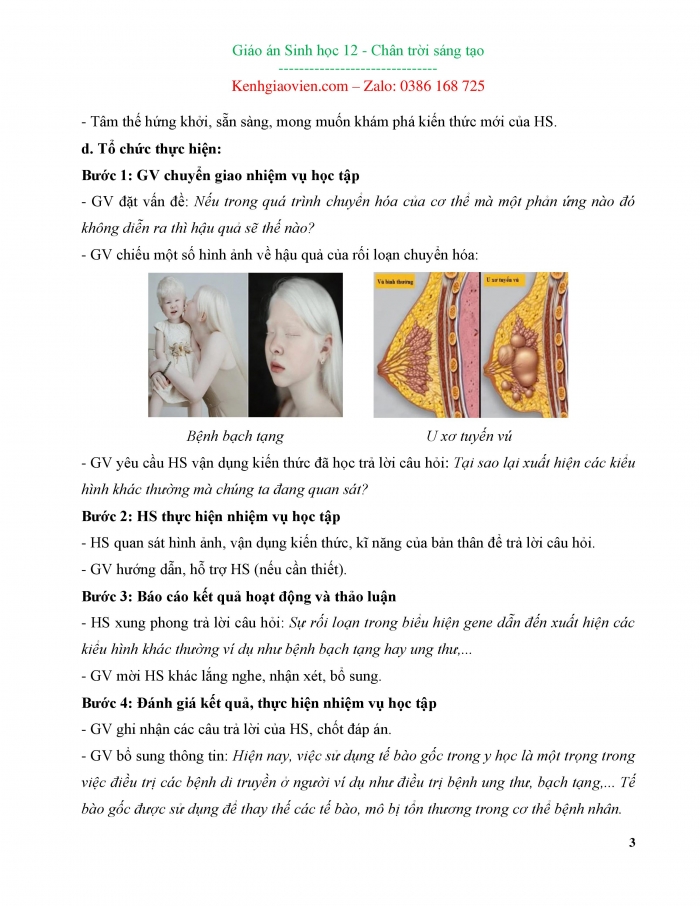 Giáo án và PPT Sinh học 12 chân trời bài 3: Điều hoà biểu hiện gene