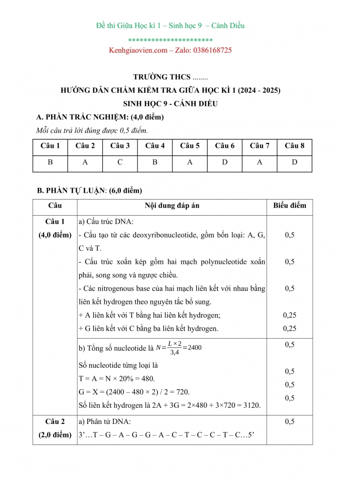 Đề kiểm tra, đề thi mẫu môn Sinh học 9 Cánh diều