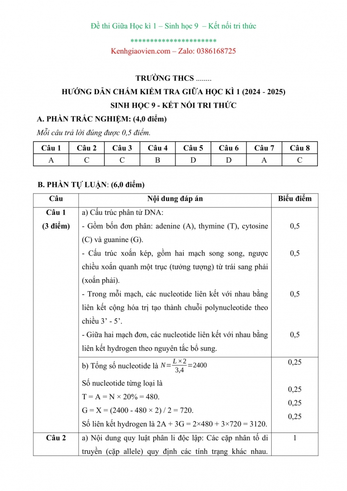 Đề kiểm tra, đề thi mẫu Sinh học 9 Kết nối tri thức