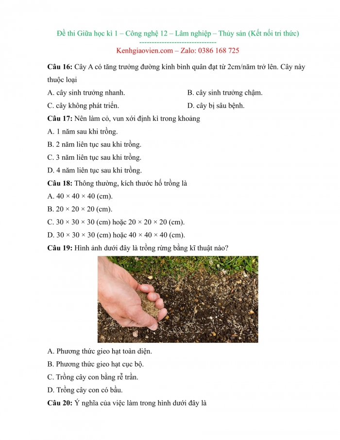 Đề kiểm tra, đề thi mẫu môn Công nghệ 12 Lâm nghiệp thủy sản Kết nối tri thức