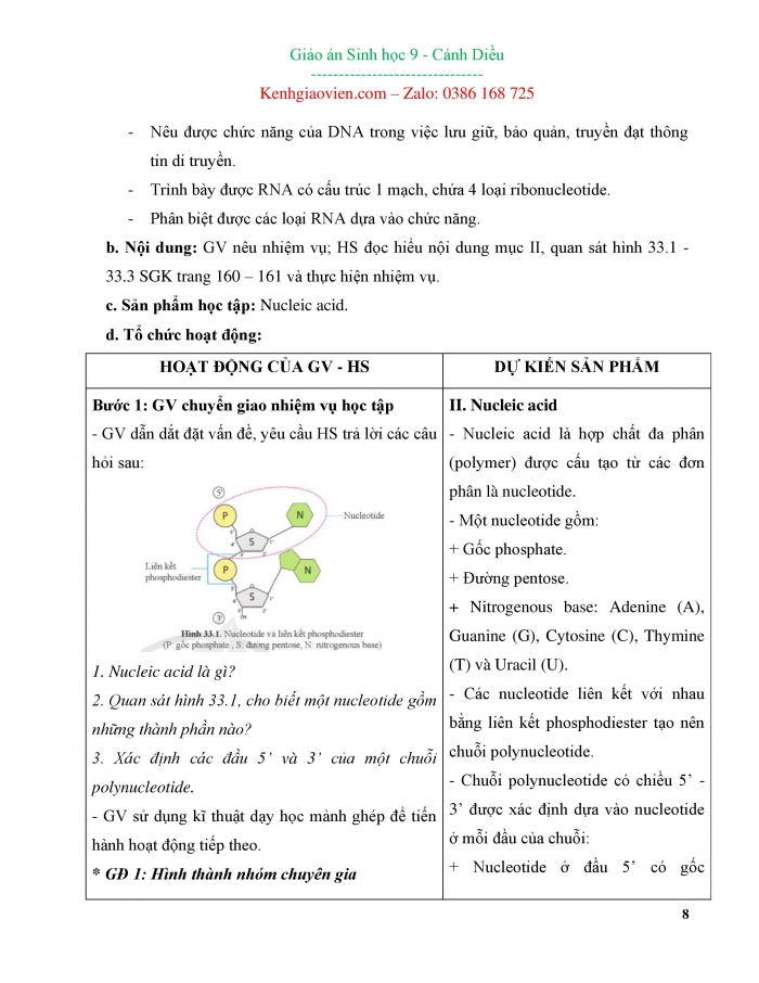 Giáo án và PPT đồng bộ Sinh học 9 cánh diều