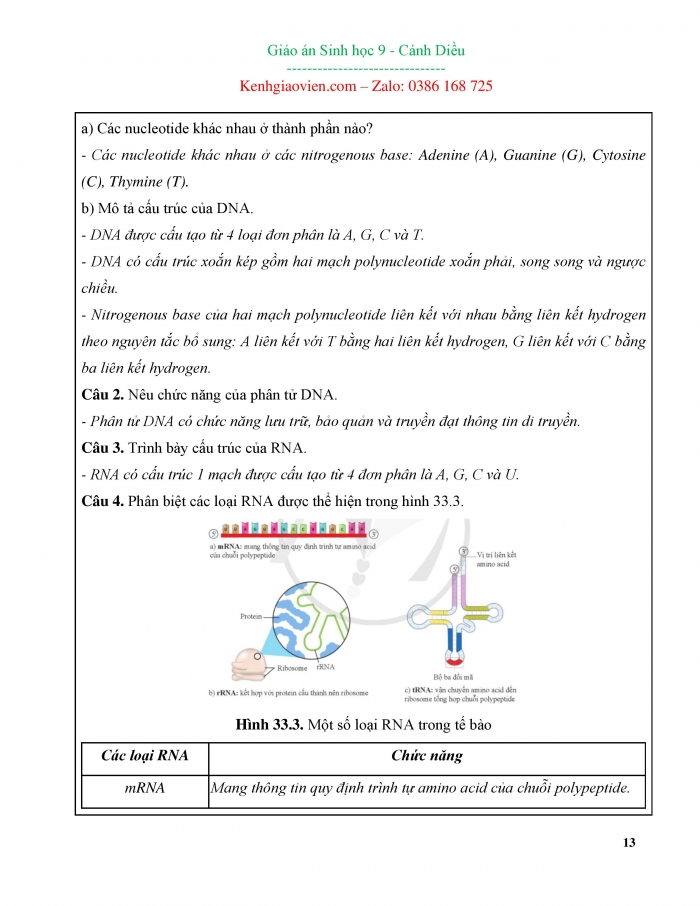 Giáo án và PPT đồng bộ Sinh học 9 cánh diều