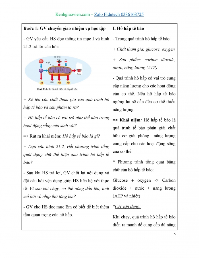 Giáo án và PPT đồng bộ Sinh học 7 cánh diều