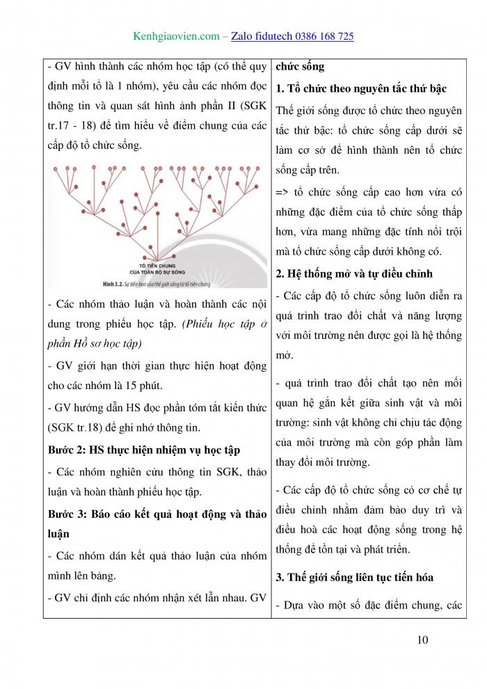 Giáo án và PPT đồng bộ Sinh học 10 chân trời sáng tạo