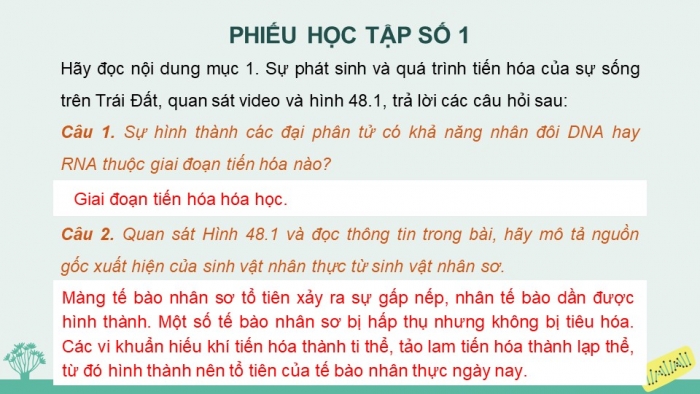 Giáo án và PPT đồng bộ Khoa học tự nhiên 9 chân trời sáng tạo