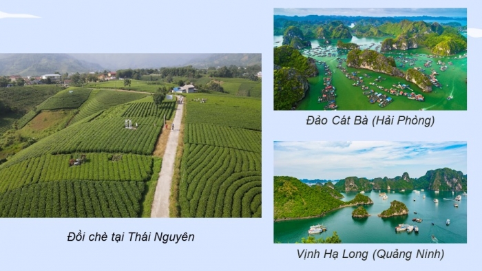 Giáo án điện tử Địa lí 12 kết nối Bài 3: Sự phân hoá đa dạng của thiên nhiên (bổ sung)