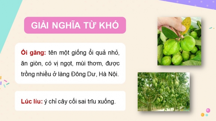 Giáo án điện tử Tiếng Việt 5 chân trời Bài 5: Quà sinh nhật