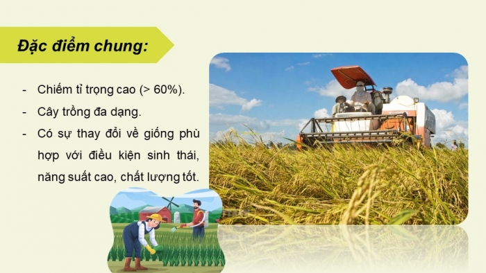 Giáo án điện tử Địa lí 9 kết nối Bài 4: Nông nghiệp (bổ sung)