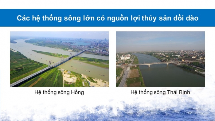 Giáo án điện tử Địa lí 9 kết nối Bài 5: Lâm nghiệp và thủy sản (bổ sung)