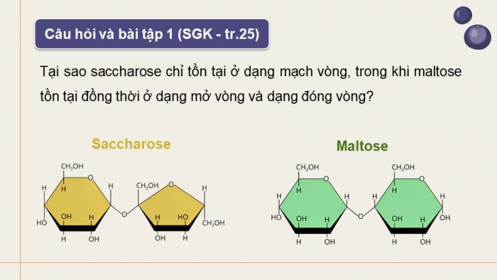 Giáo án điện tử Hoá học 12 kết nối Bài 5: Saccharose và maltose