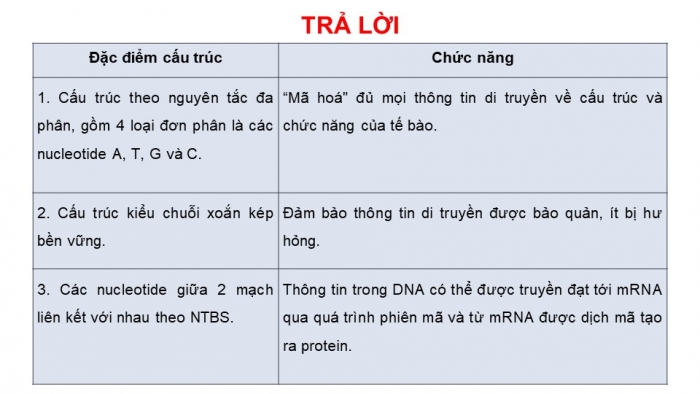 Giáo án điện tử Sinh học 12 kết nối Bài 1: DNA và cơ chế tái bản DNA