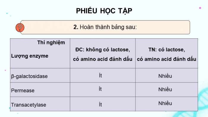 Giáo án điện tử Sinh học 12 kết nối Bài 3: Điều hoà biểu hiện gene