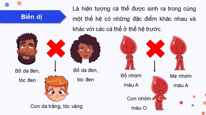 Giáo án điện tử KHTN 9 cánh diều - Phân môn Sinh học Bài 33: Gene là trung tâm của di truyền học