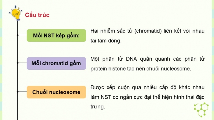 Giáo án điện tử KHTN 9 cánh diều - Phân môn Sinh học Bài 35: Nhiễm sắc thể và bộ nhiễm sắc thể