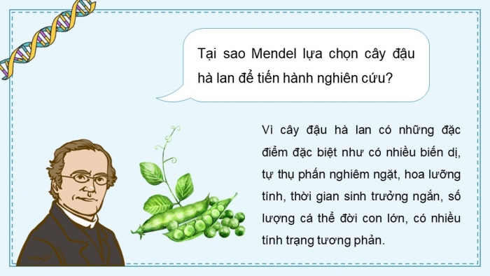 Giáo án điện tử KHTN 9 chân trời - Phân môn Sinh học Bài 36: Các quy luật di truyền của Mendel