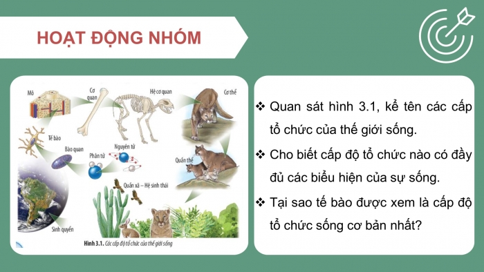 Giáo án và PPT đồng bộ Sinh học 10 chân trời sáng tạo