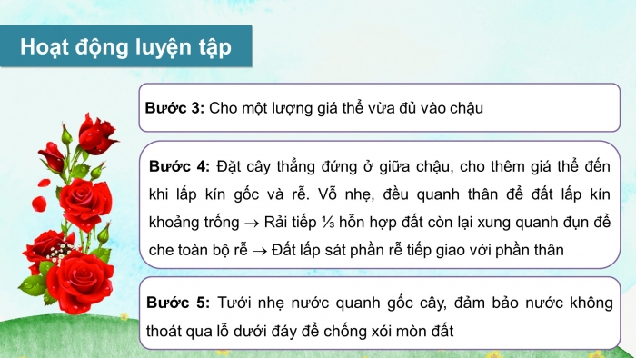 Giáo án và PPT đồng bộ Công nghệ 4 kết nối tri thức