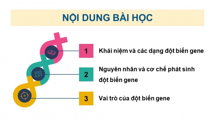 Giáo án và PPT đồng bộ Sinh học 12 cánh diều