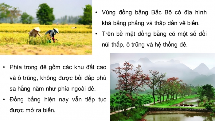 Giáo án và PPT đồng bộ Lịch sử và Địa lí 4 cánh diều