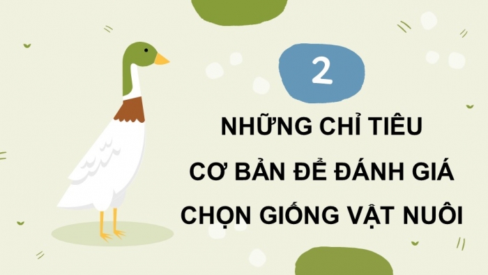 Giáo án và PPT đồng bộ Công nghệ 11 Công nghệ chăn nuôi Cánh diều