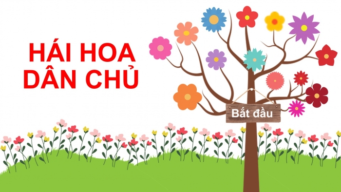 Giáo án điện tử Toán 5 kết nối Bài 15: Ki-lô-mét vuông. Héc-ta