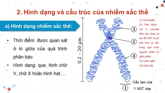 Giáo án và PPT đồng bộ Khoa học tự nhiên 9 kết nối tri thức