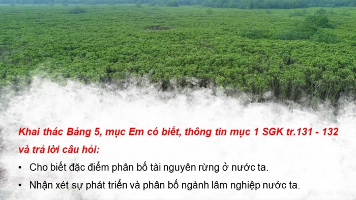 Giáo án điện tử Địa lí 9 kết nối Bài 5: Lâm nghiệp và thủy sản