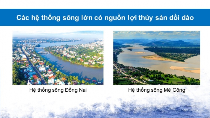 Giáo án điện tử Địa lí 9 kết nối Bài 5: Lâm nghiệp và thủy sản (bổ sung)