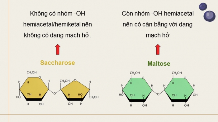 Giáo án điện tử Hoá học 12 kết nối Bài 5: Saccharose và maltose