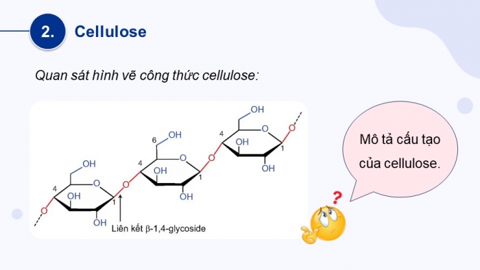 Giáo án điện tử Hoá học 12 kết nối Bài 6: Tinh bột và cellulose