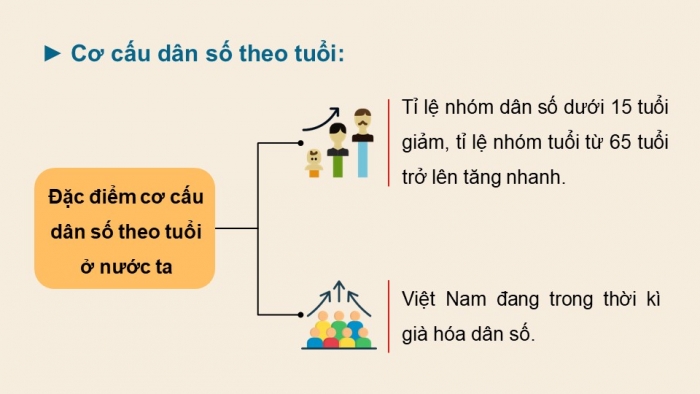 Giáo án điện tử Địa lí 12 kết nối Bài 6: Dân số Việt Nam