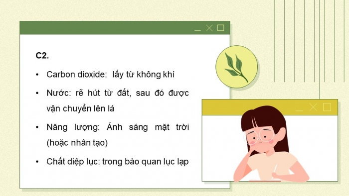 Giáo án và PPT đồng bộ Sinh học 7 chân trời sáng tạo